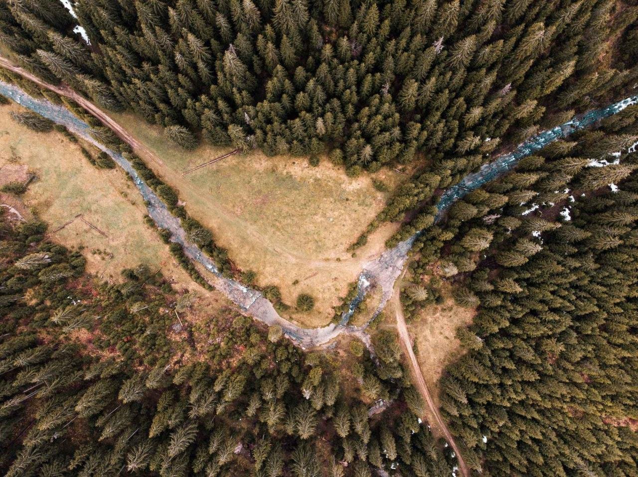 Drone Captures Something Nobody Was Supposed To See