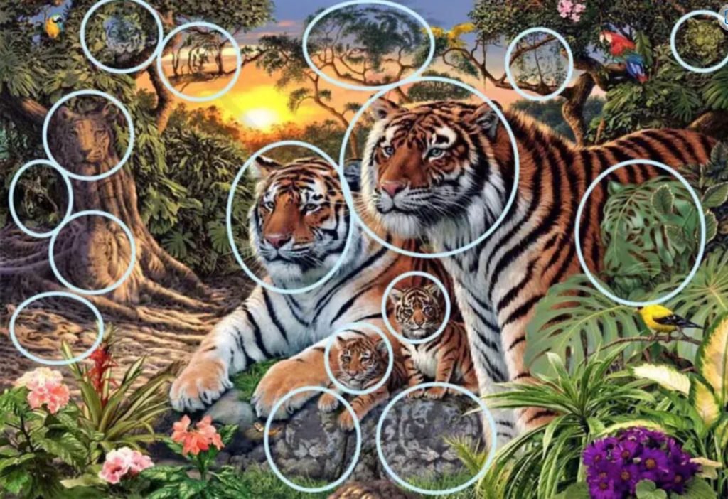 Tigers in jungle with circles around hidden tigers